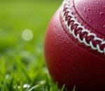 cricket ball cricket ball